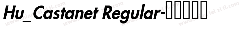 Hu_Castanet Regular字体转换